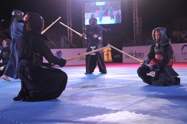 Martial Arts Festival